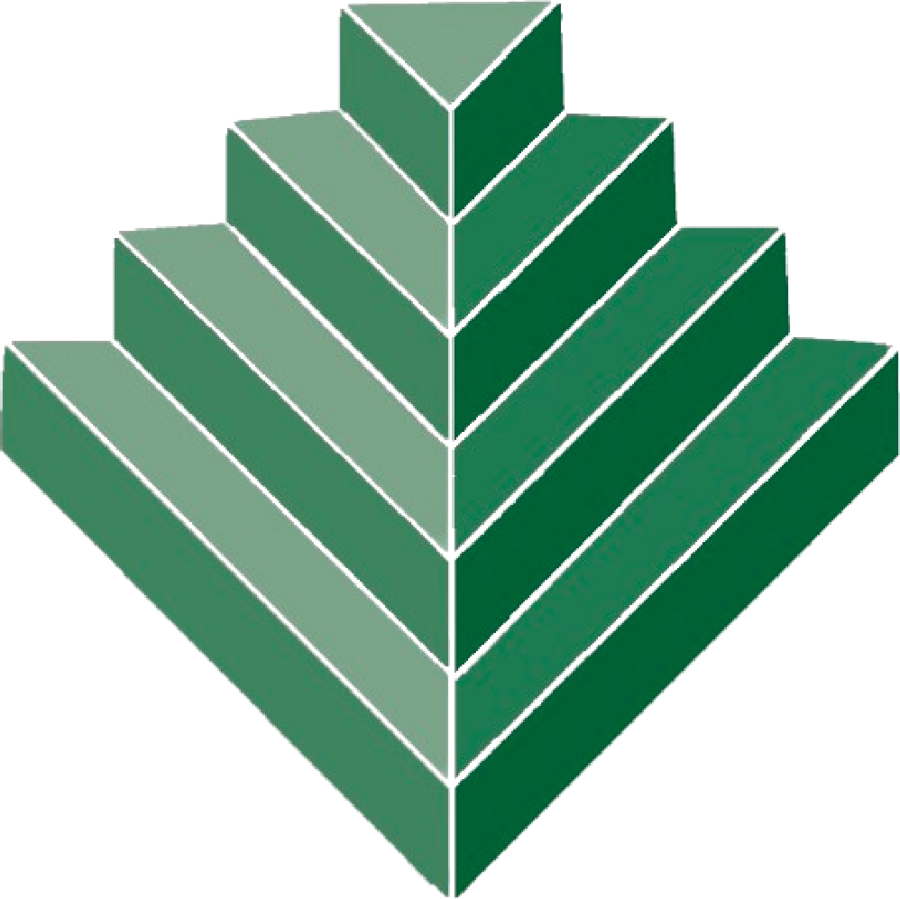 Payson Physical Therapy logo